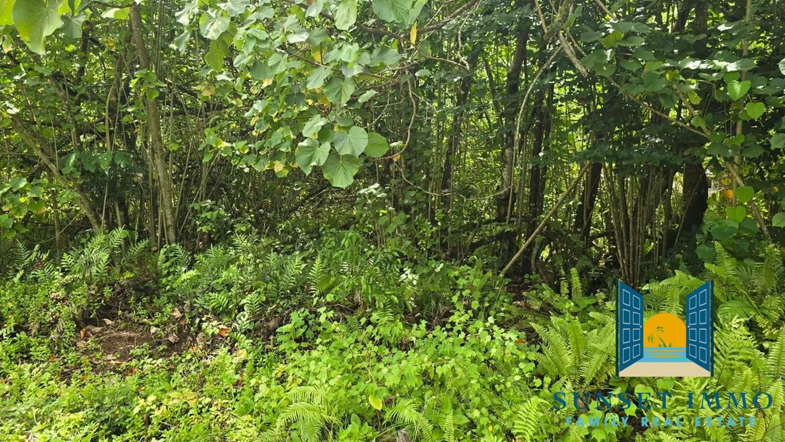 Land in TAPUTAPUATEA, French Polynesia 1 - 17971638