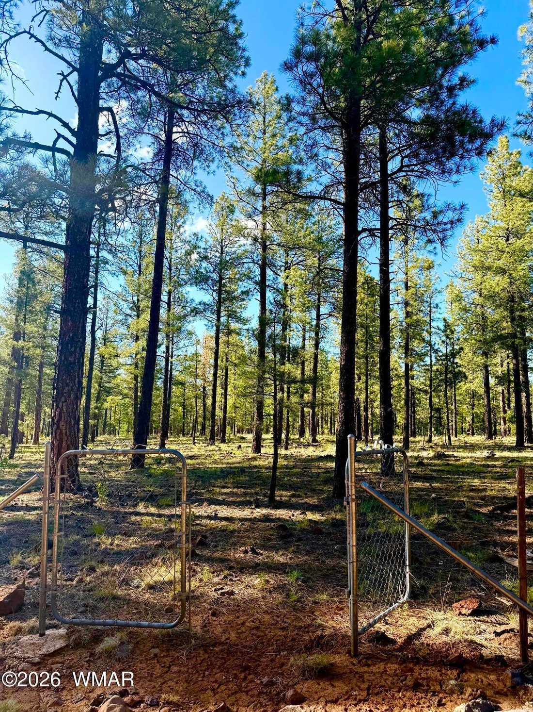 House in Pinetop, Arizona, United States 3 - 17968433