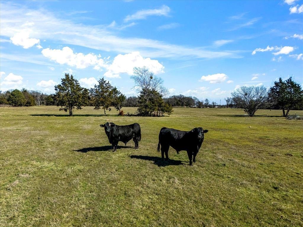 Farm Ranch in Kerens, Texas, United States 1 - 17952521