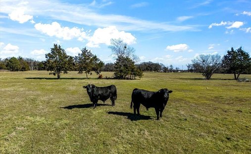 Farm Ranch in Kerens, Texas, United States 1
