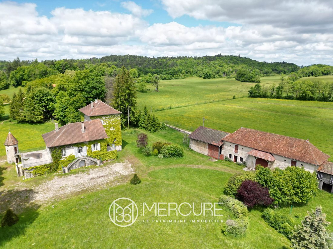 Estate in Sonthonnax-la-Montagne, Auvergne-Rhône-Alpes, France 1 - 16484044