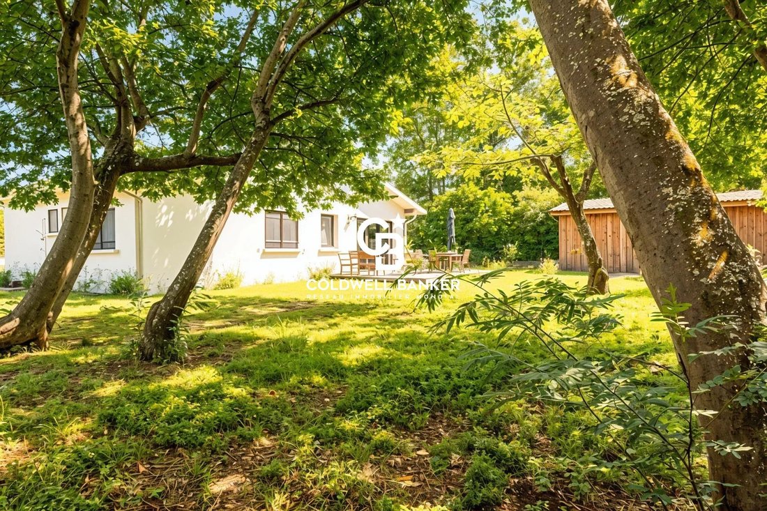 House in Sud Ouest, Andernos-les-Bains, France 2 - 15730559