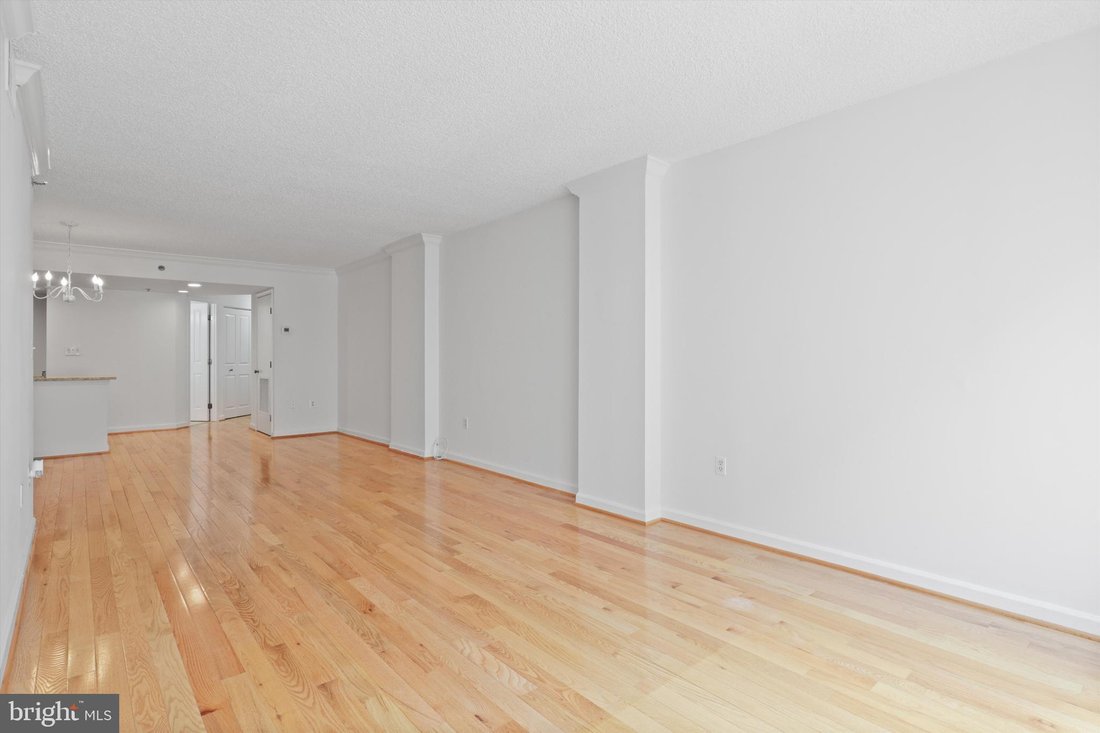 Apartment in Washington, District of Columbia, United States 5 - 17968064