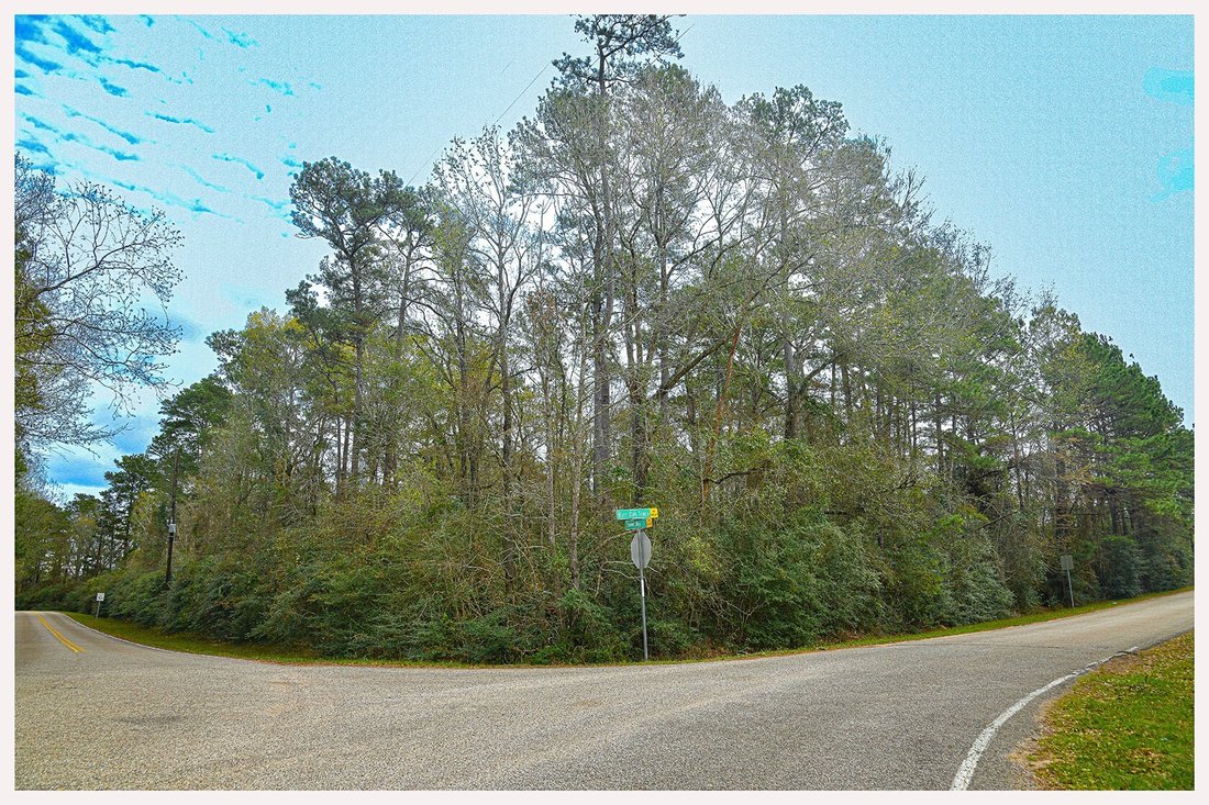 Land in Magnolia, Texas, United States 1 - 17970480