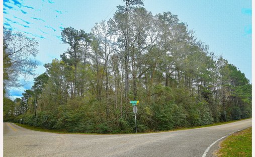 Land in Magnolia, Texas, United States 1