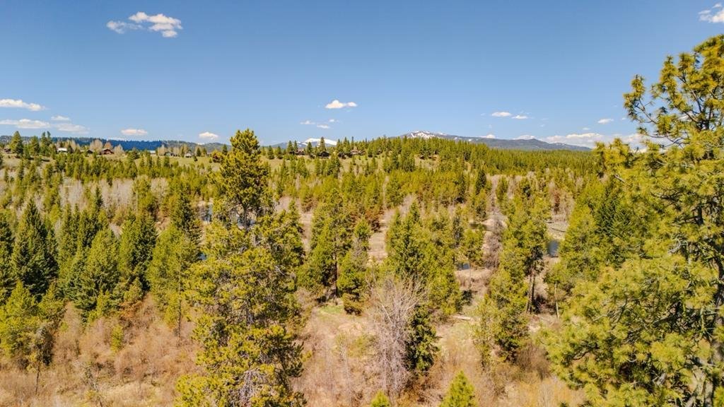 Terrain à McCall, Idaho, États-Unis 5 - 17438826