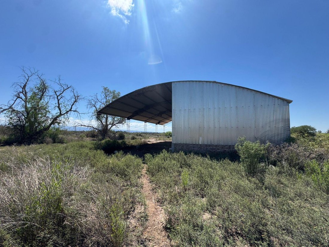 Farm Ranch in Algarrobo Verde, San Juan Province, Argentina 5 - 17968561