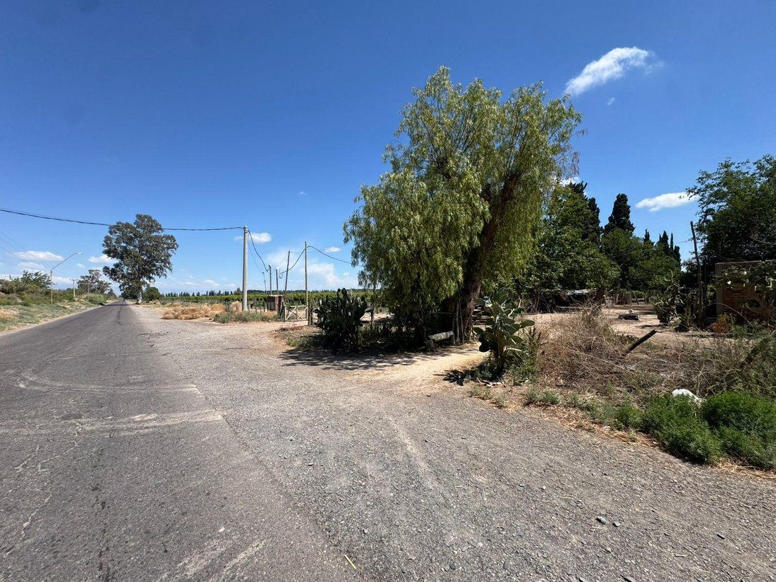 Farm Ranch in Algarrobo Verde, San Juan Province, Argentina 1 - 17968561