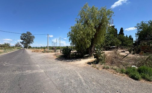 Land in Algarrobo Verde, San Juan Province, Argentina 1