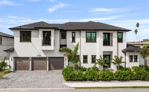 House in Tampa, Florida, United States 1