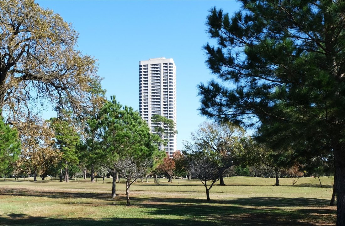 Condo in Houston, Texas, United States 1 - 17969862