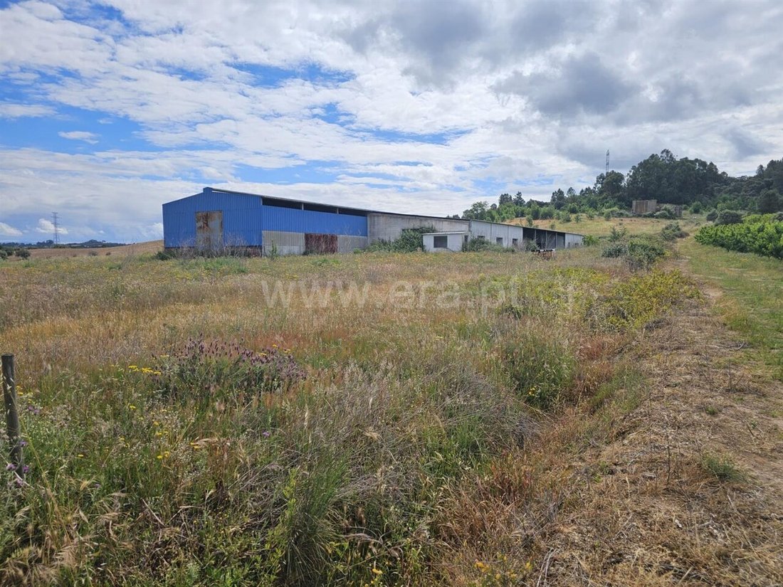 Farm Ranch in Vale de Prazeres e Mata da Rainha, Castelo Branco District, Portugal 1 - 17972833