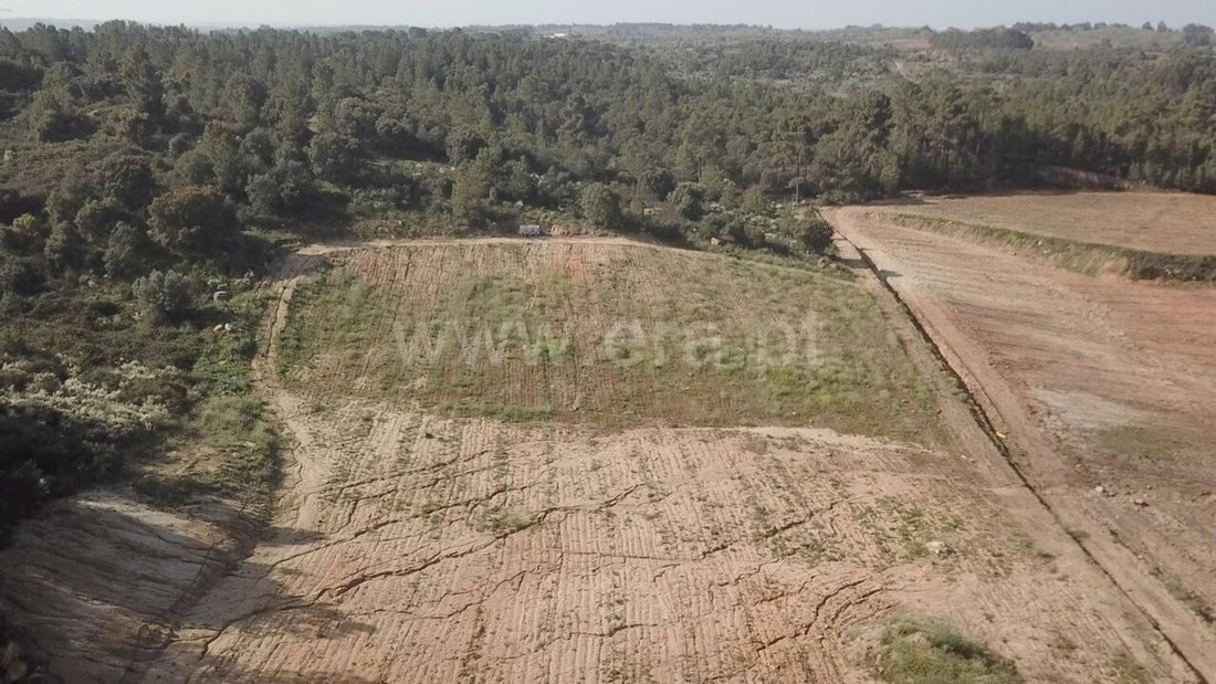 Farm Ranch in Vale de Prazeres e Mata da Rainha, Castelo Branco District, Portugal 3 - 17972833
