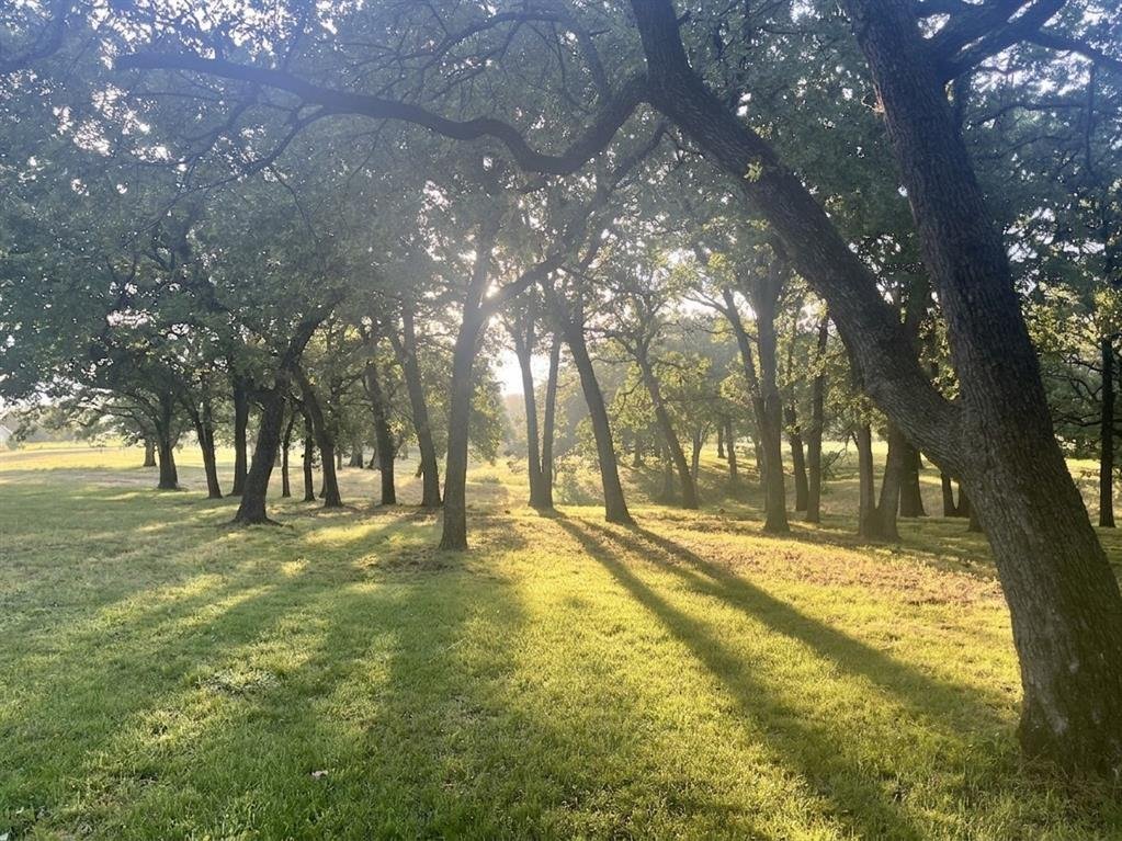 House in Gordonville, Texas, United States 3 - 17961696