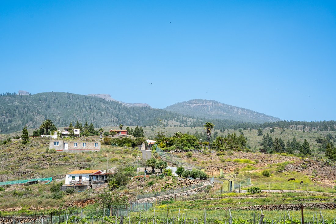 Farm Ranch in Adeje, Canary Islands, Spain 5 - 17972801