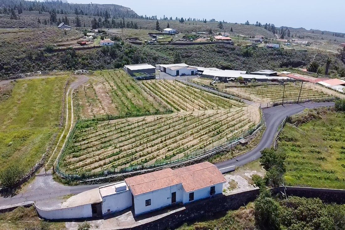 Farm Ranch in Adeje, Canary Islands, Spain 1 - 17972801