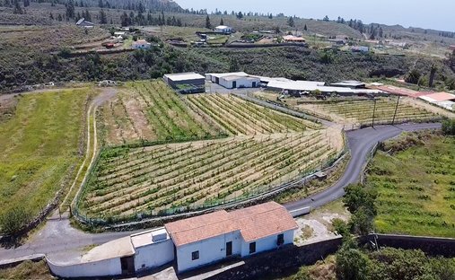Farm Ranch in Adeje, Kanarische Inseln, Spanien 1