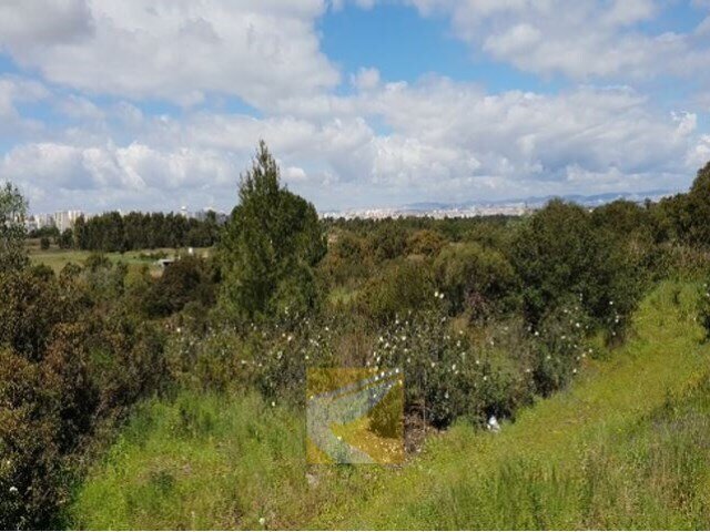 Land in Alhos Vedros, Setubal, Portugal 4 - 17972856