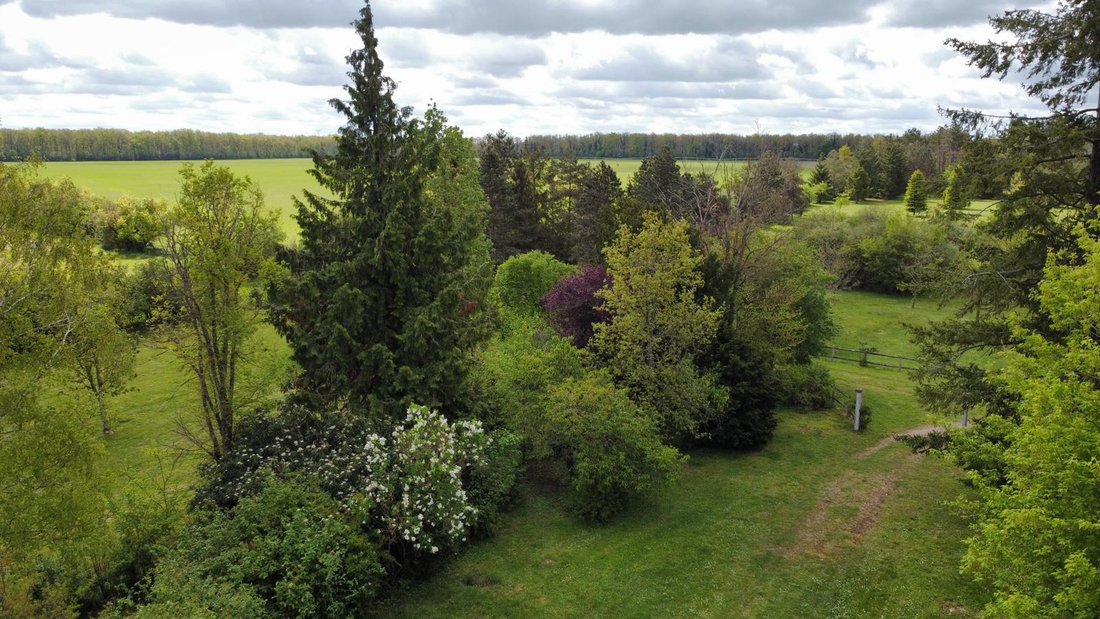 Terrain à Pressigny-les-Pins, Centre-Val de Loire, France 2 - 17973487