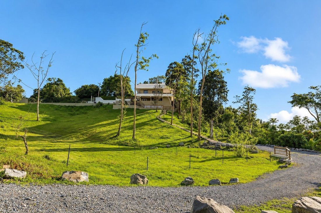 House in Cayey, Cayey, Puerto Rico 2 - 17491476