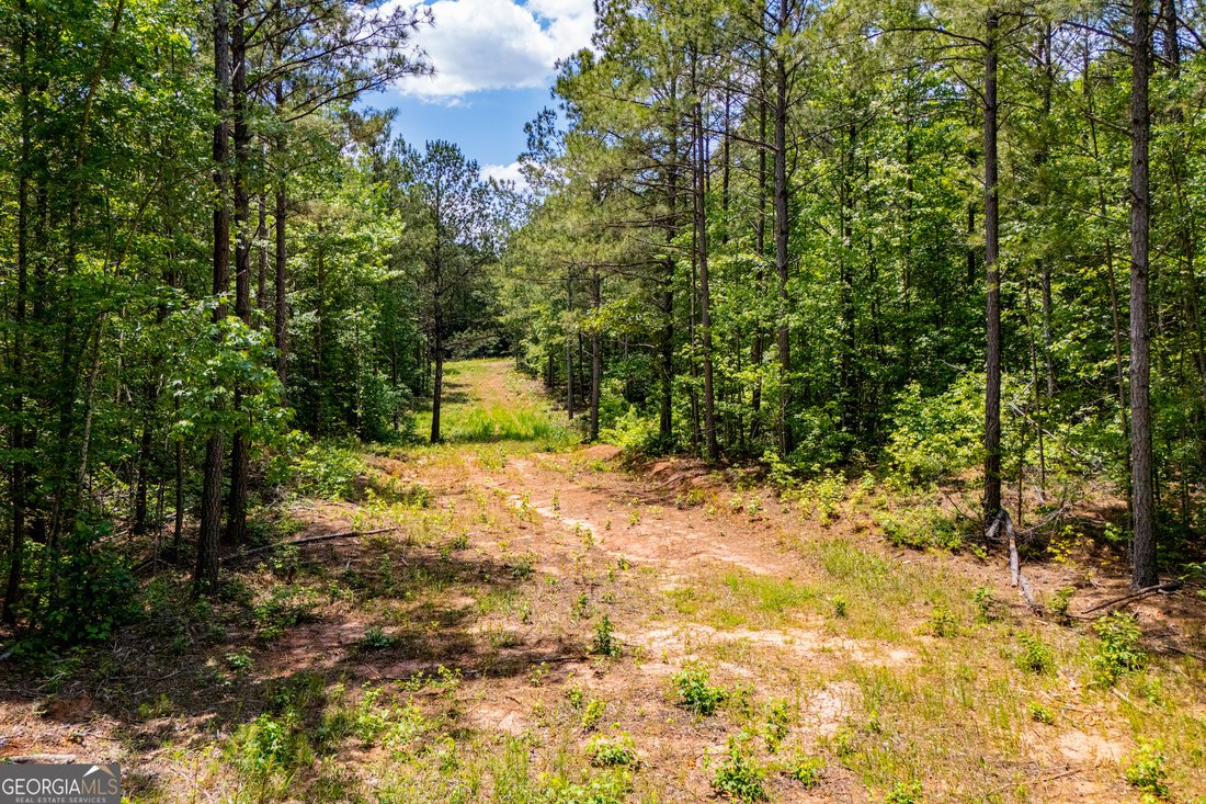 Farm Ranch in Carrollton, Georgia, United States 5 - 17973593