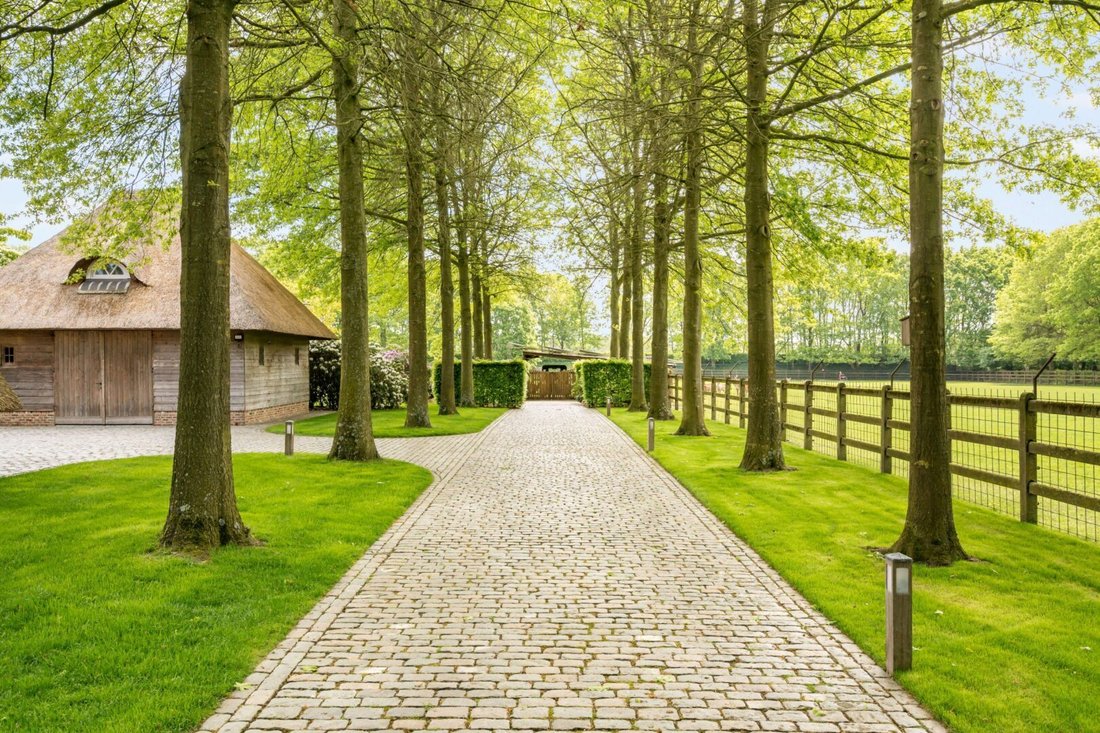 Villa in Pelt, Flanders, Belgium 5 - 17973343