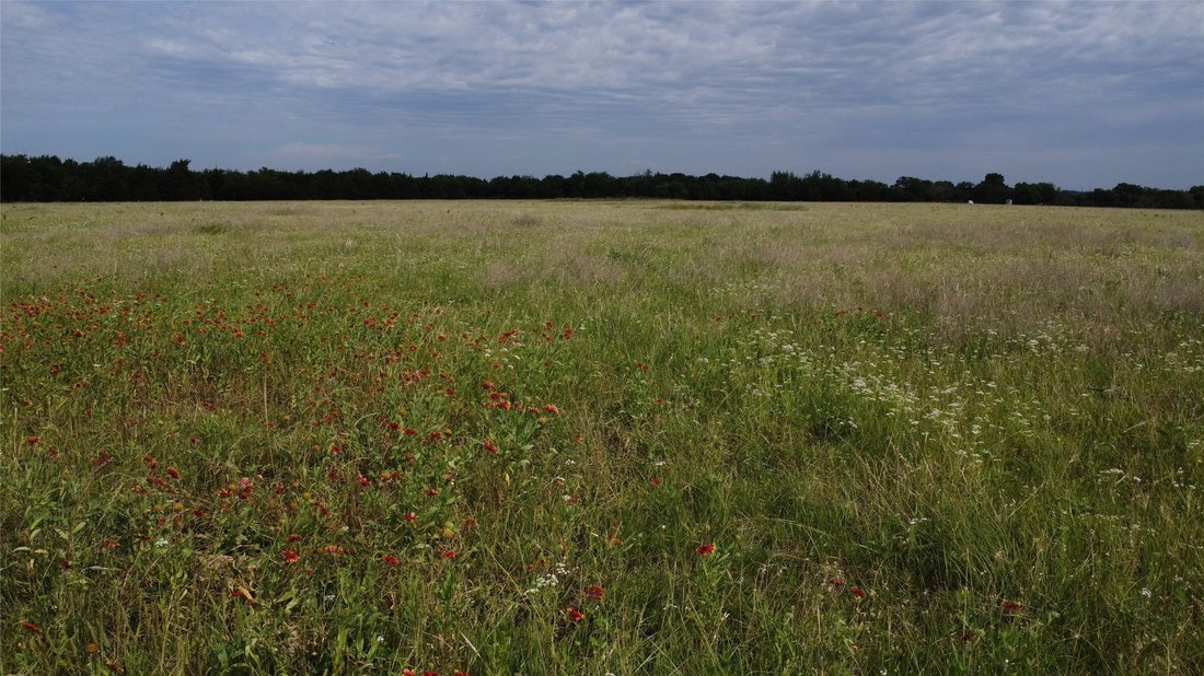 Land in Red Oak, Texas, United States 5 - 17973552