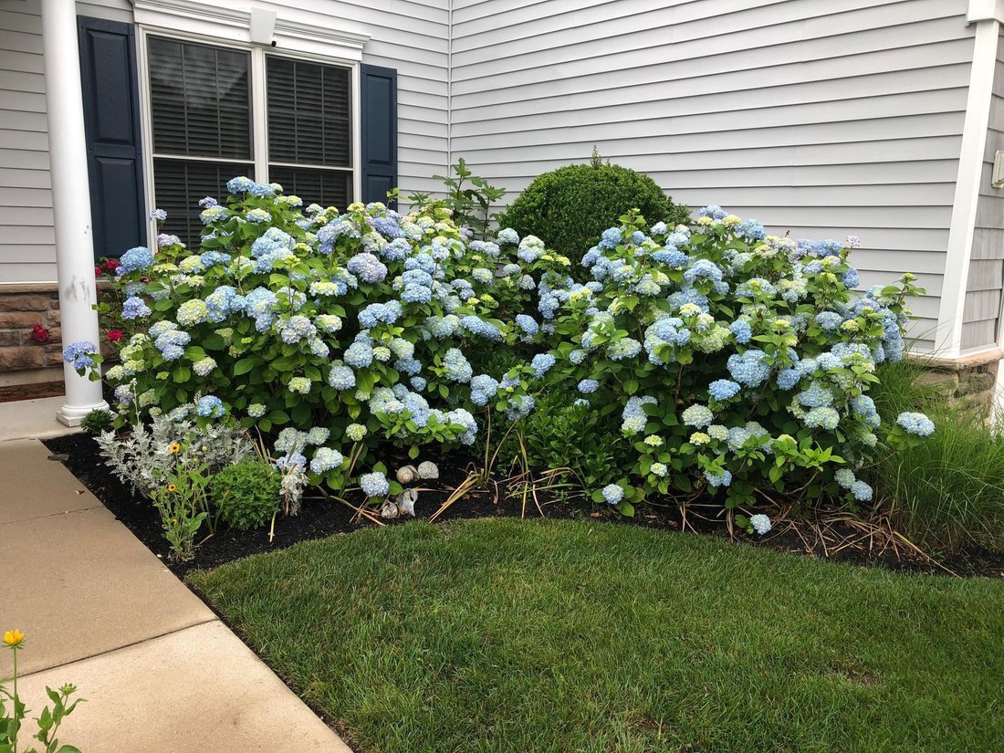 Townhouse in Cape May Court House, New Jersey, United States 3 - 17973084