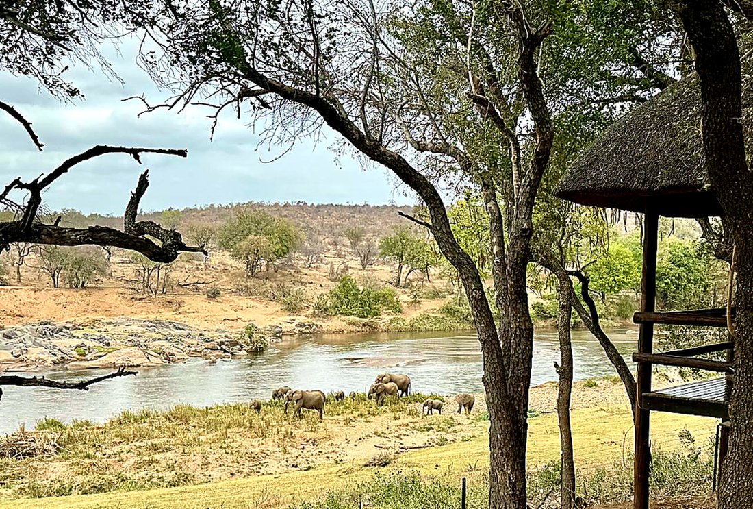 Farm Ranch in Hoedspruit, Limpopo, South Africa 4 - 17973536