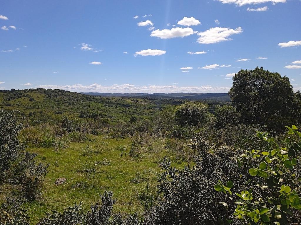 Land in Garzón, Maldonado Department, Uruguay 3 - 17973315