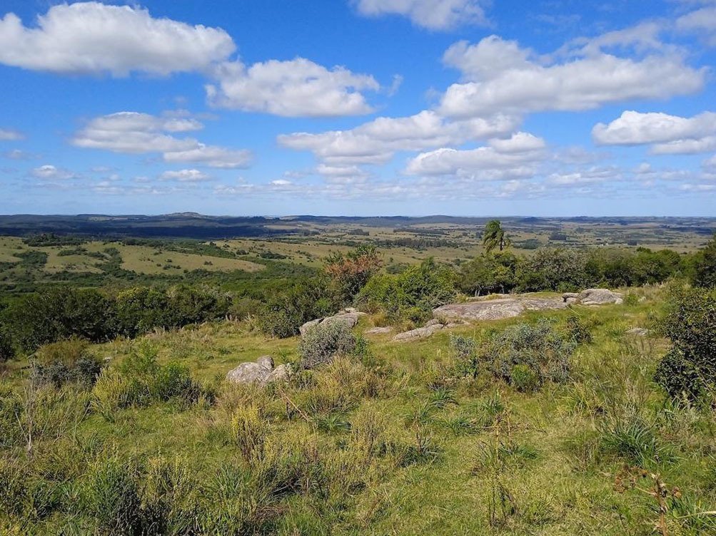 Land in Garzón, Maldonado Department, Uruguay 1 - 17973315