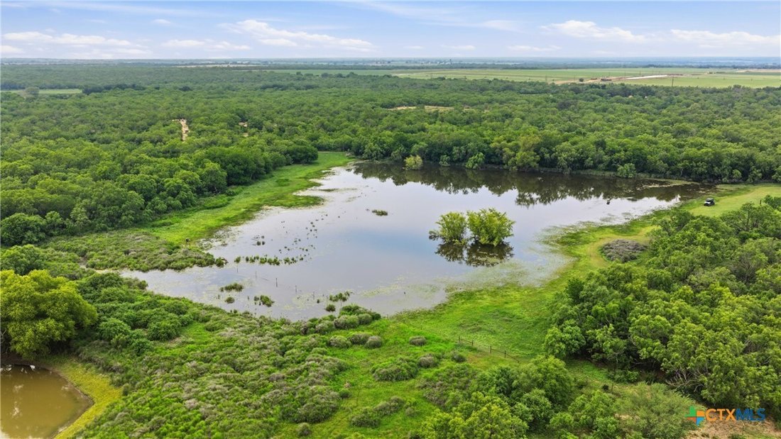 Farm Ranch in Bigfoot, Texas, United States 3 - 17973575