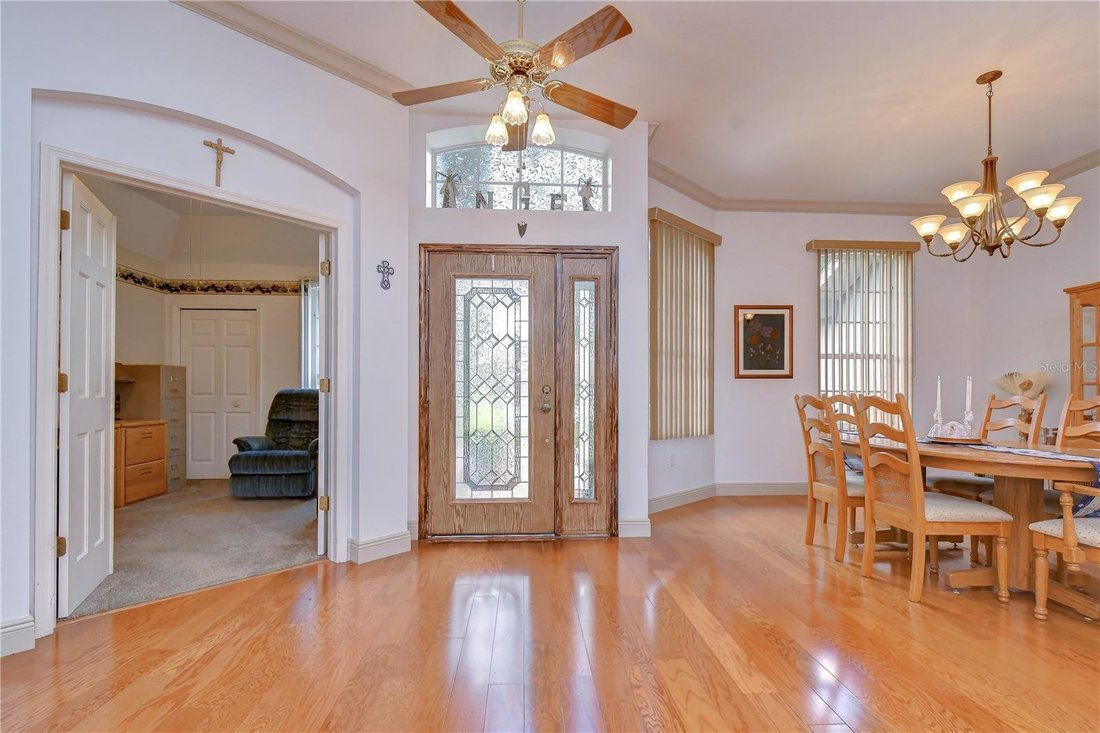 House in Valrico, Florida, United States 5 - 17973551