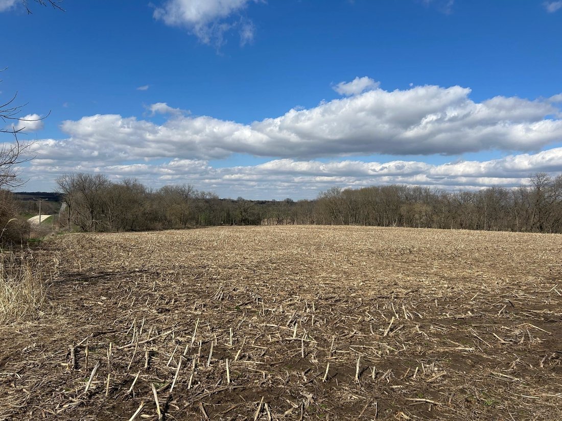 Land in Freeport, Illinois, United States 2 - 16719628