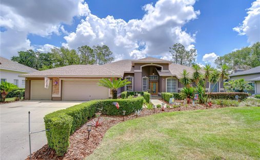 House in Valrico, Florida, United States 1
