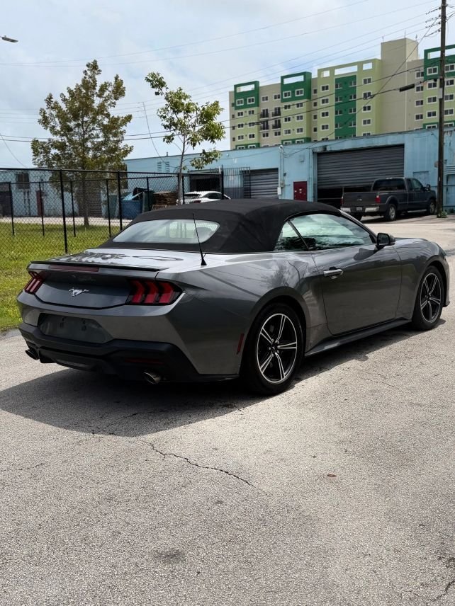 Cabriolet in Miami, FL, United States 2 - 17973958