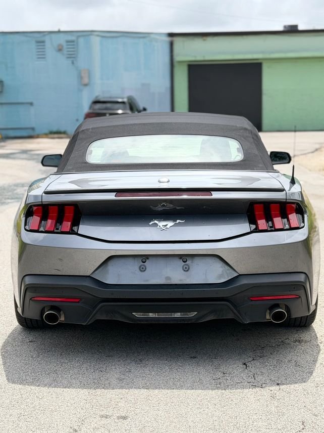 Cabriolet in Miami, FL, United States 4 - 17973958