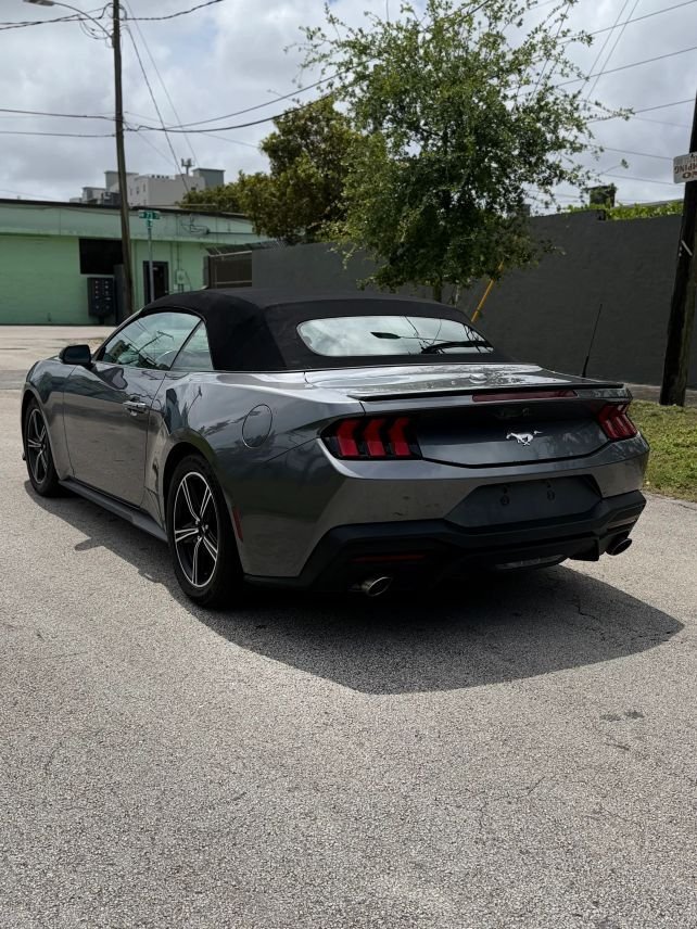 Cabriolet in Miami, FL, United States 3 - 17973958