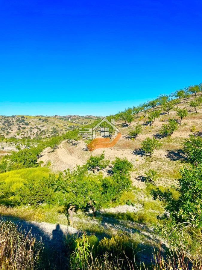 Farm Ranch in Velez-Rubio, Andalusia, Spain 4 - 17974128