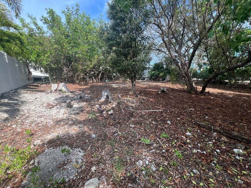 Land in Tavernier, Florida, United States 3 - 17974252