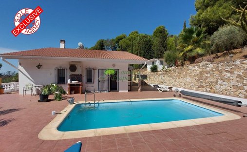 Landhaus in Cómpeta, Andalusien, Spanien 1