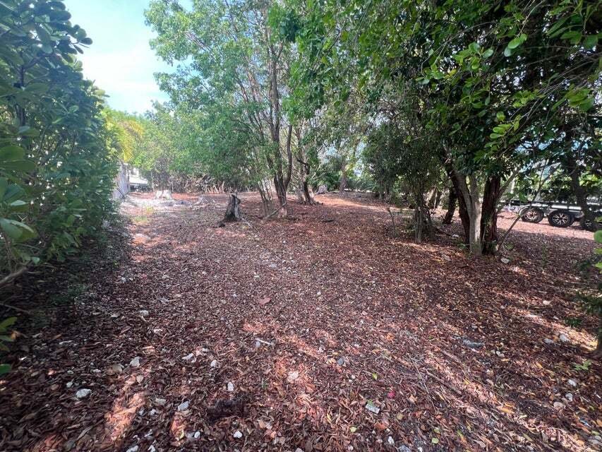Land in Tavernier, Florida, United States 4 - 17974252