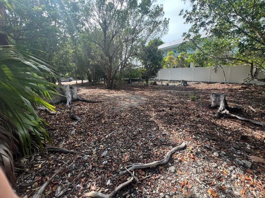 Land in Tavernier, Florida, United States 2 - 17974252