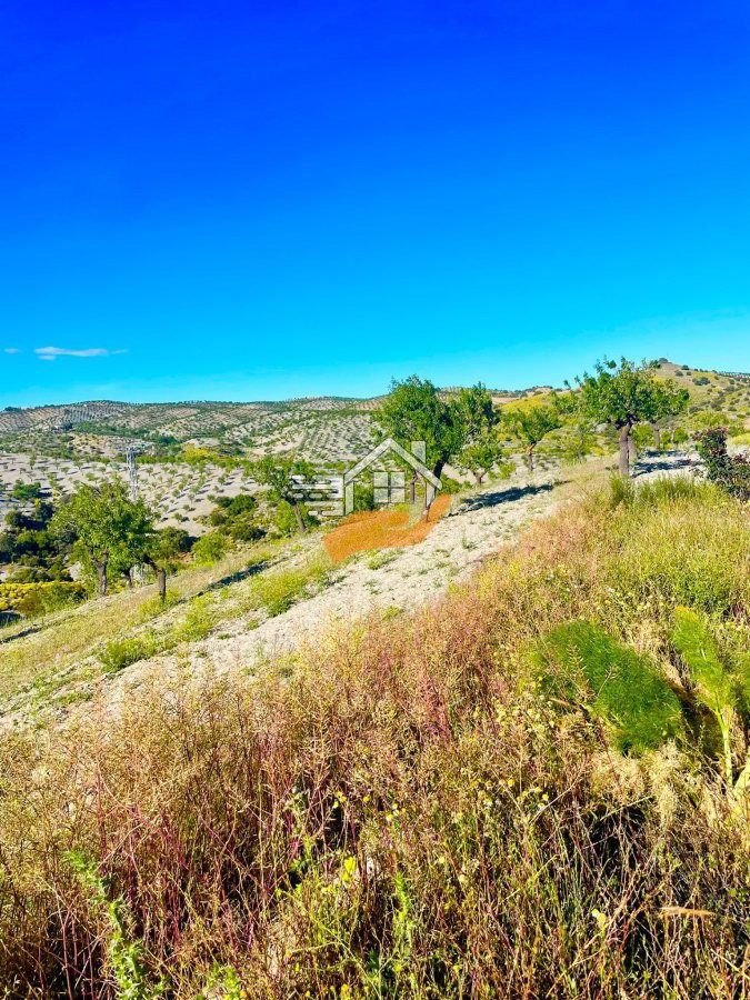 Farm Ranch in Velez-Rubio, Andalusia, Spain 5 - 17974128
