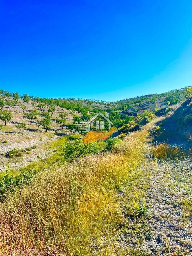 Farm Ranch in Velez-Rubio, Andalusia, Spain 2 - 17974128