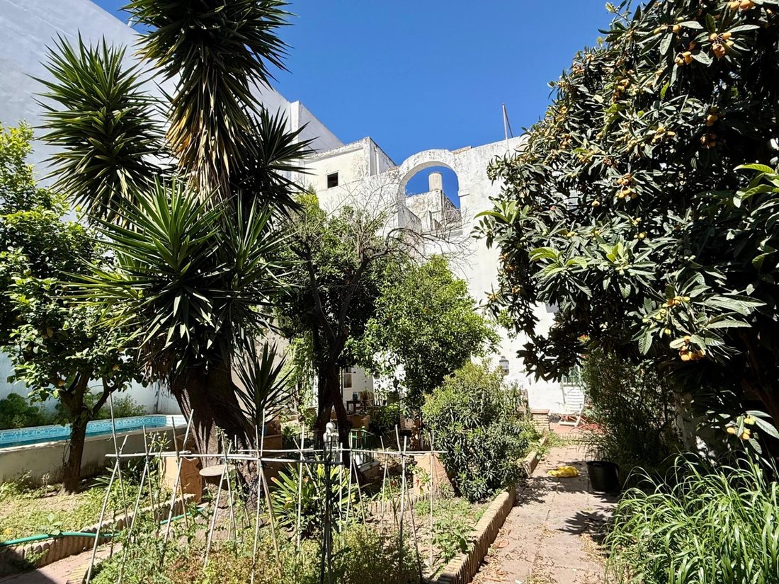 House in El Puerto de Santa María, Andalusia, Spain 4 - 17974200