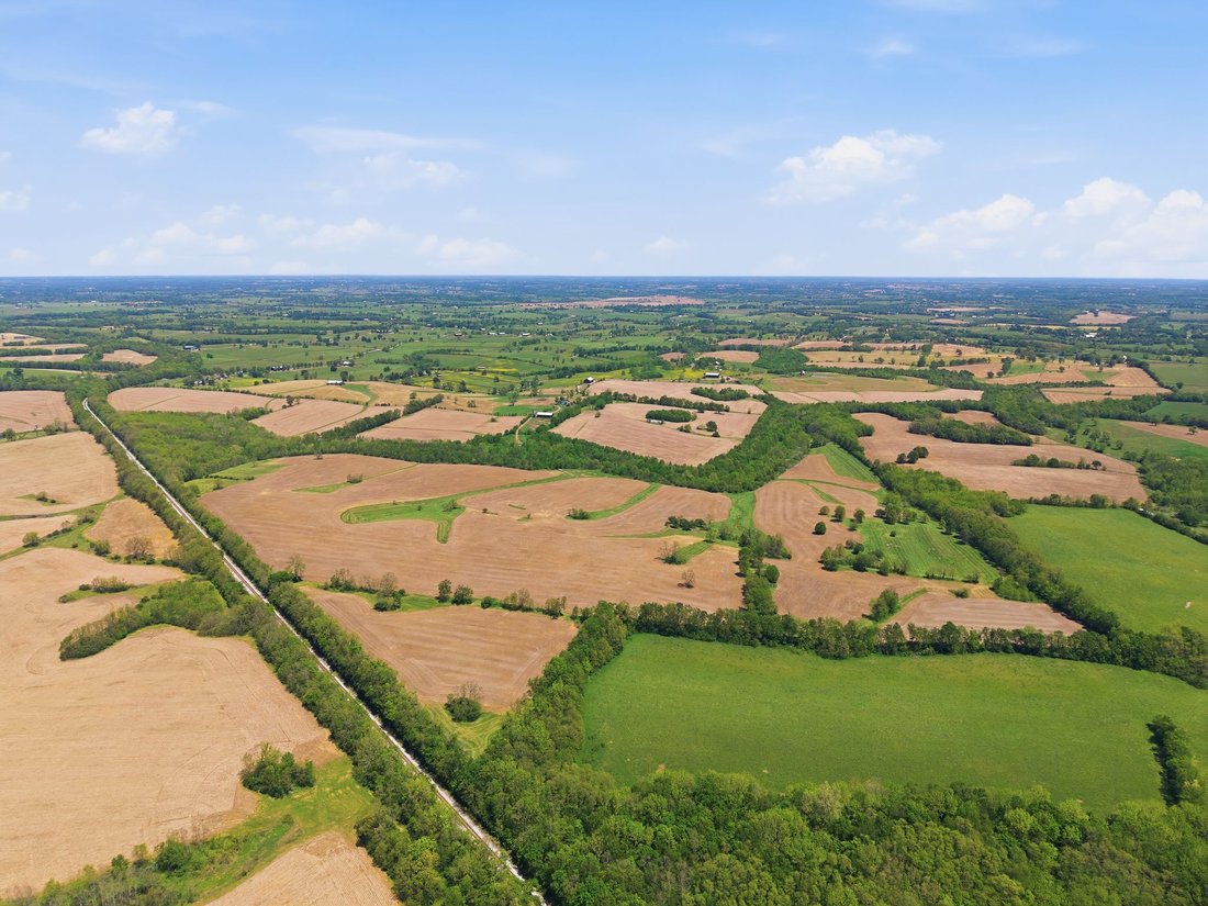 Farm Ranch in Paris, Kentucky, United States 4 - 17974309