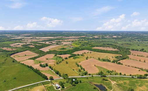 Farm Ranch in Paris, Kentucky, United States 1