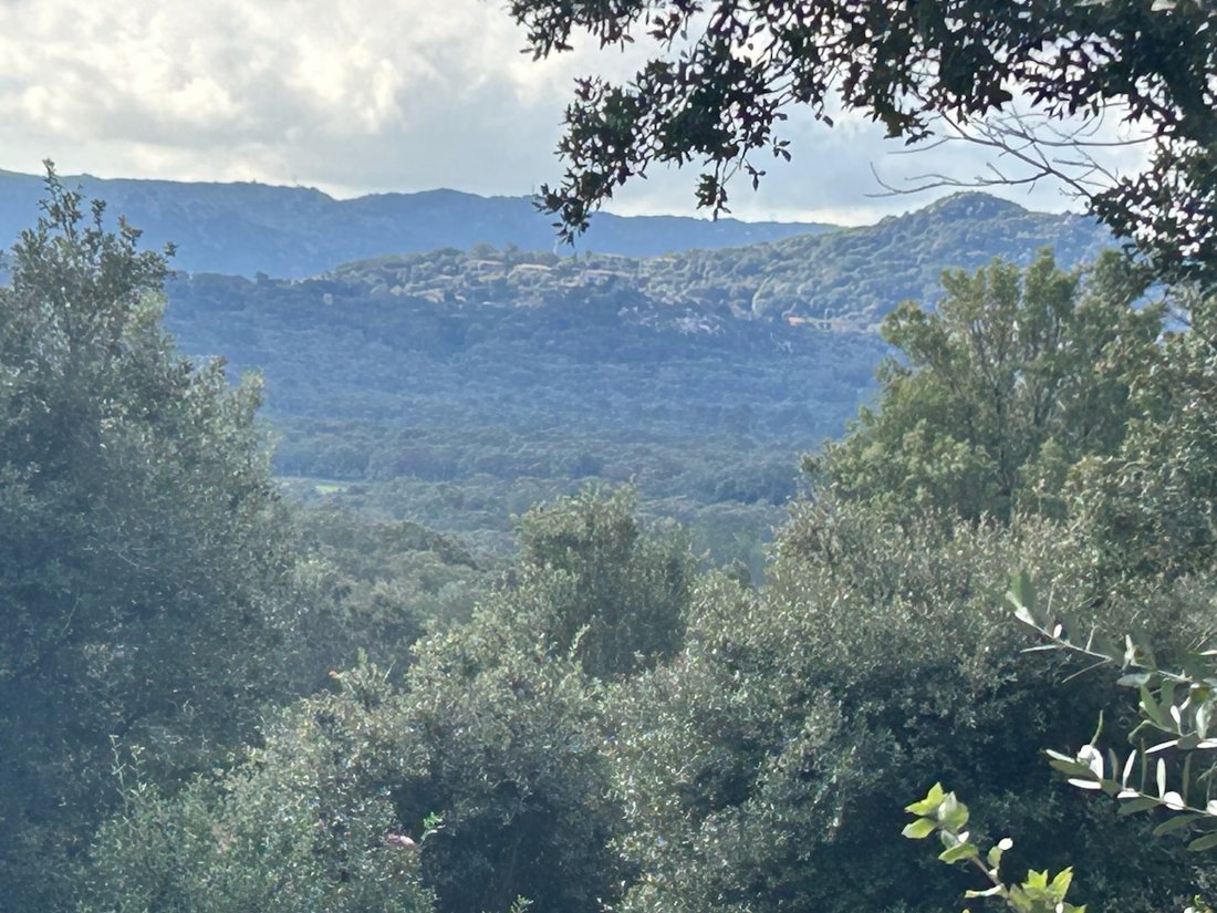 Villa in Sotta, Corsica, France 2 - 17977306