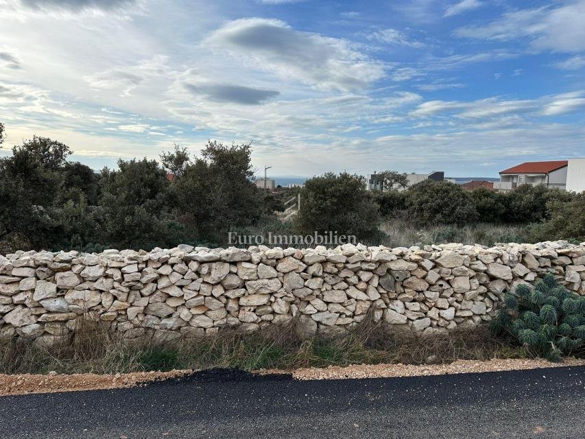 Land in Mandre, Croatia 1 - 17979699